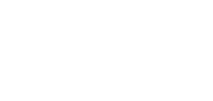 NS Growth Solutions - Agency